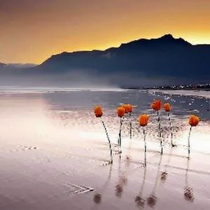 Meet your Posher, Renee